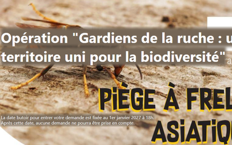 « Gardiens de la Ruche » : mobilisons-nous contre le frelon asiatique !