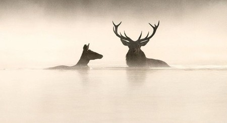 Illustration de l'actualité - cliquer pour agrandir