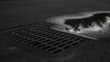 Illustration de l'actualité - cliquer pour agrandir