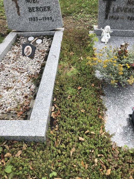 cimetière verdurisation